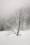 201402130729-AJ001587.jpg
